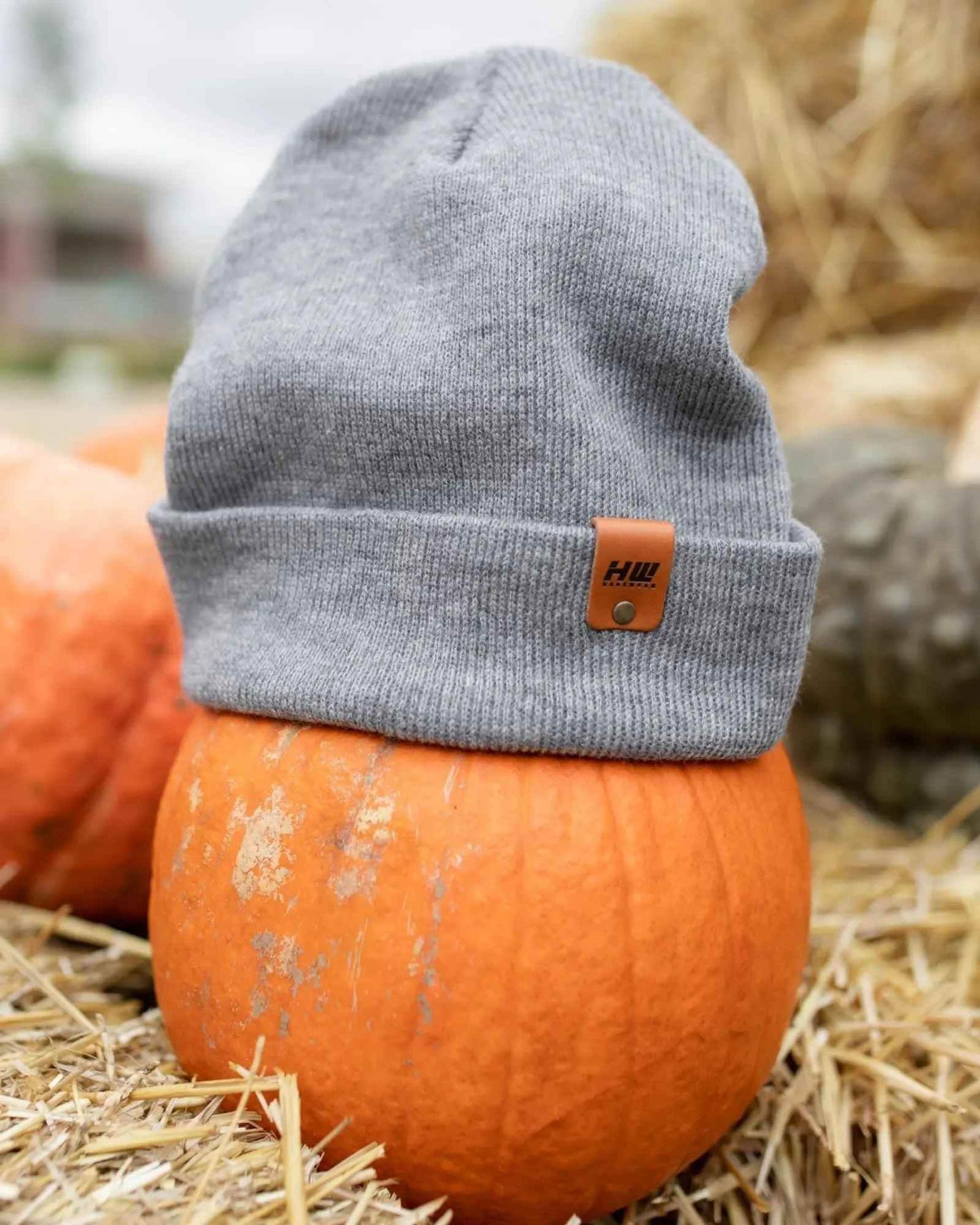 HAAKWEAR Knit Beanie - Classic Cuffed Hat in Koala Gray, Made in USA