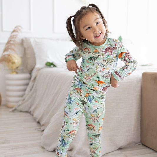 Dino World 2pc Long Sleeve Pajamas