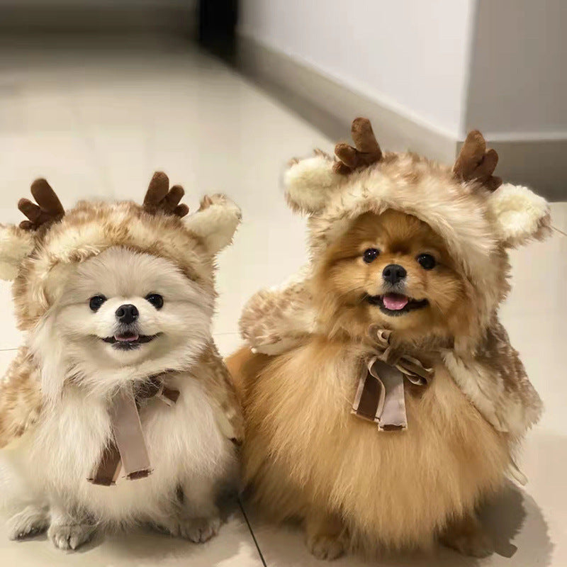 Pet Costume