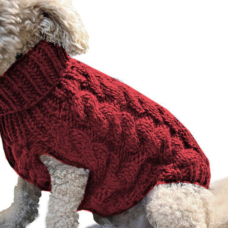 pet sweater
