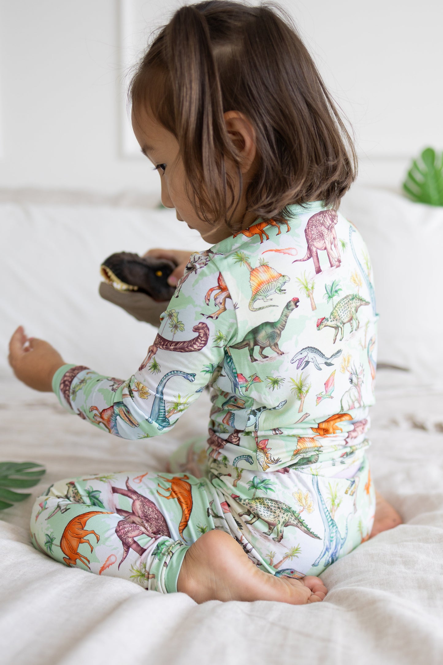 Dino World 2pc Long Sleeve Pajamas