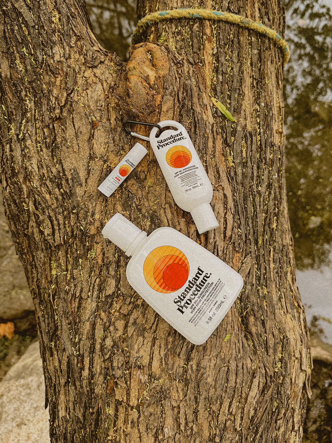 The Best Sellers Gift Box