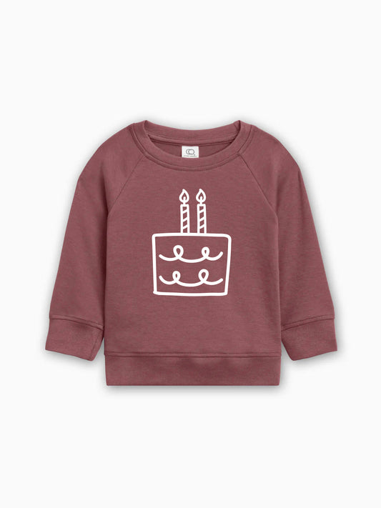 Two 2nd Birthday Cake Organic Cotton Baby Pullover