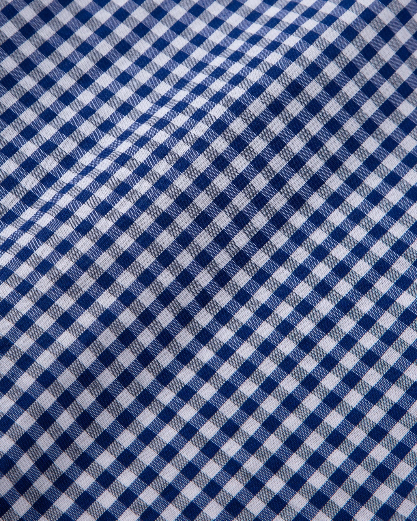 Blue Gingham