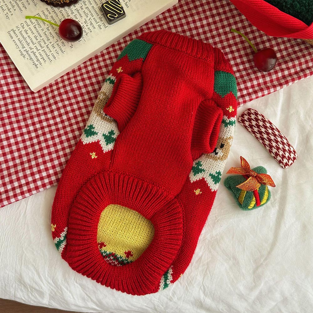 Christmas Cherry Bear Pet Sweater | NCS