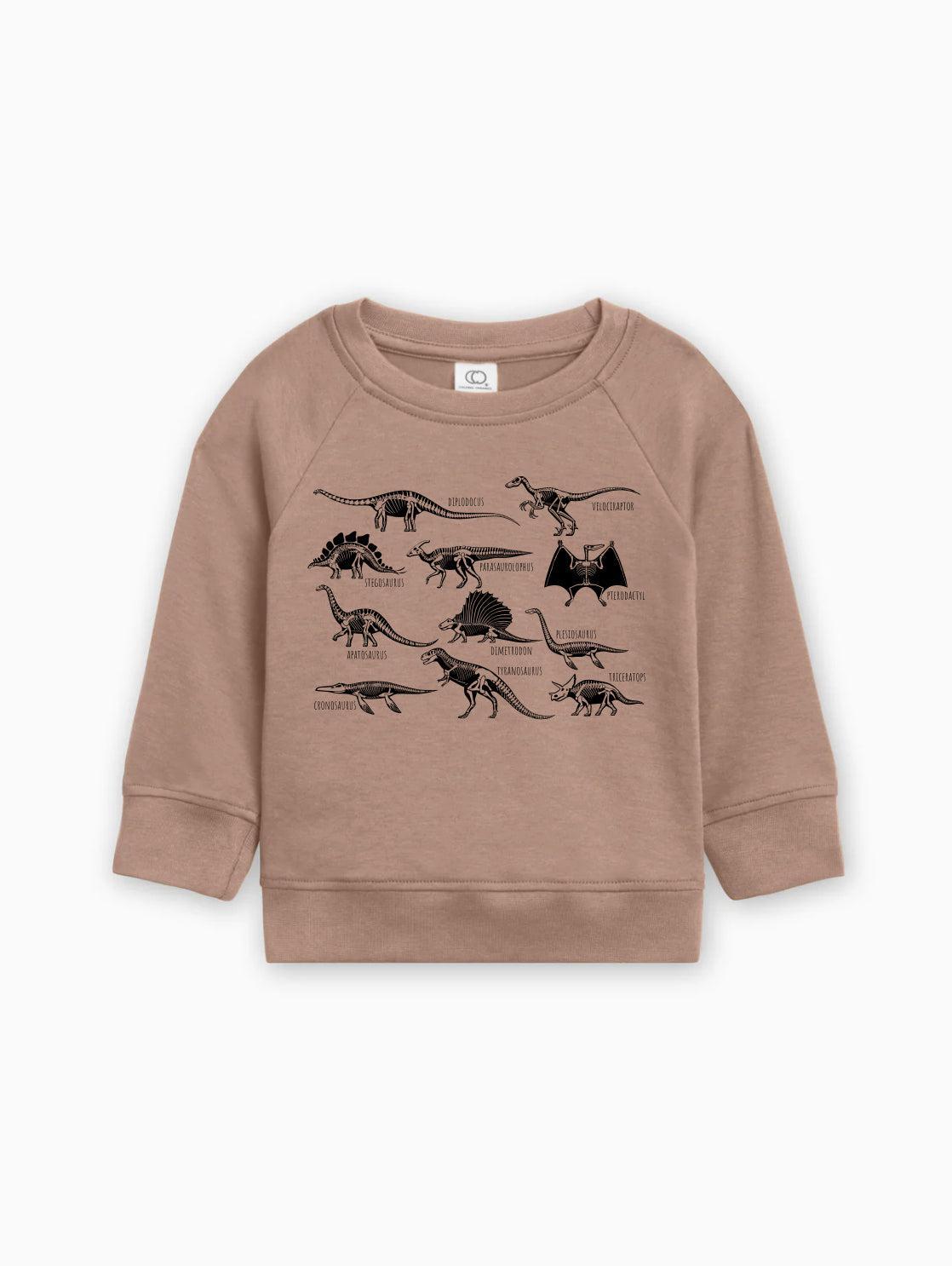 Dinosaur Skulls Organic Cotton Baby Toddler Pullover