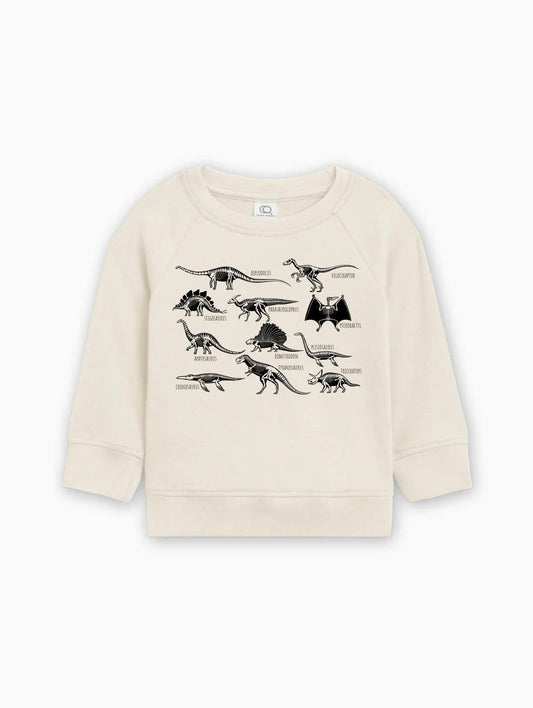 Dinosaur Skulls Organic Cotton Baby Toddler Pullover