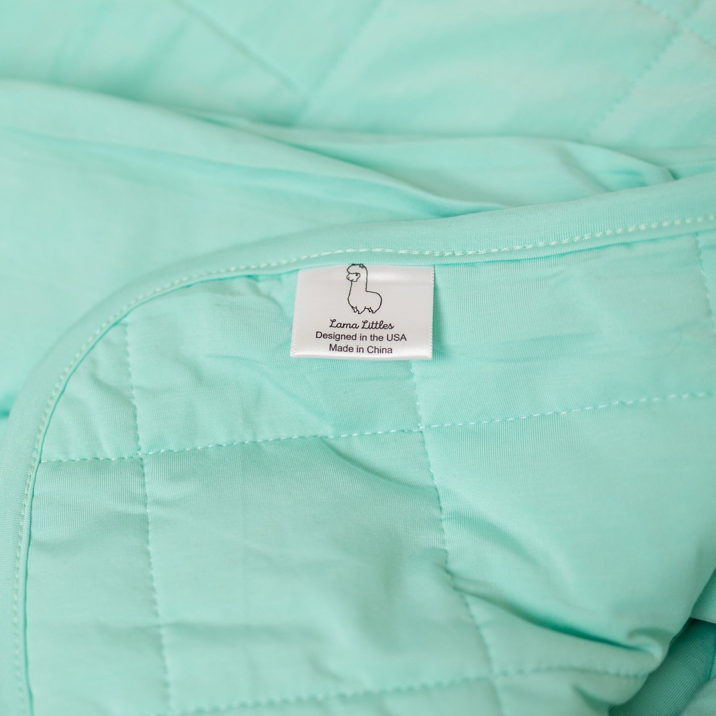 Aqua & Wisteria Snuggle Blankets