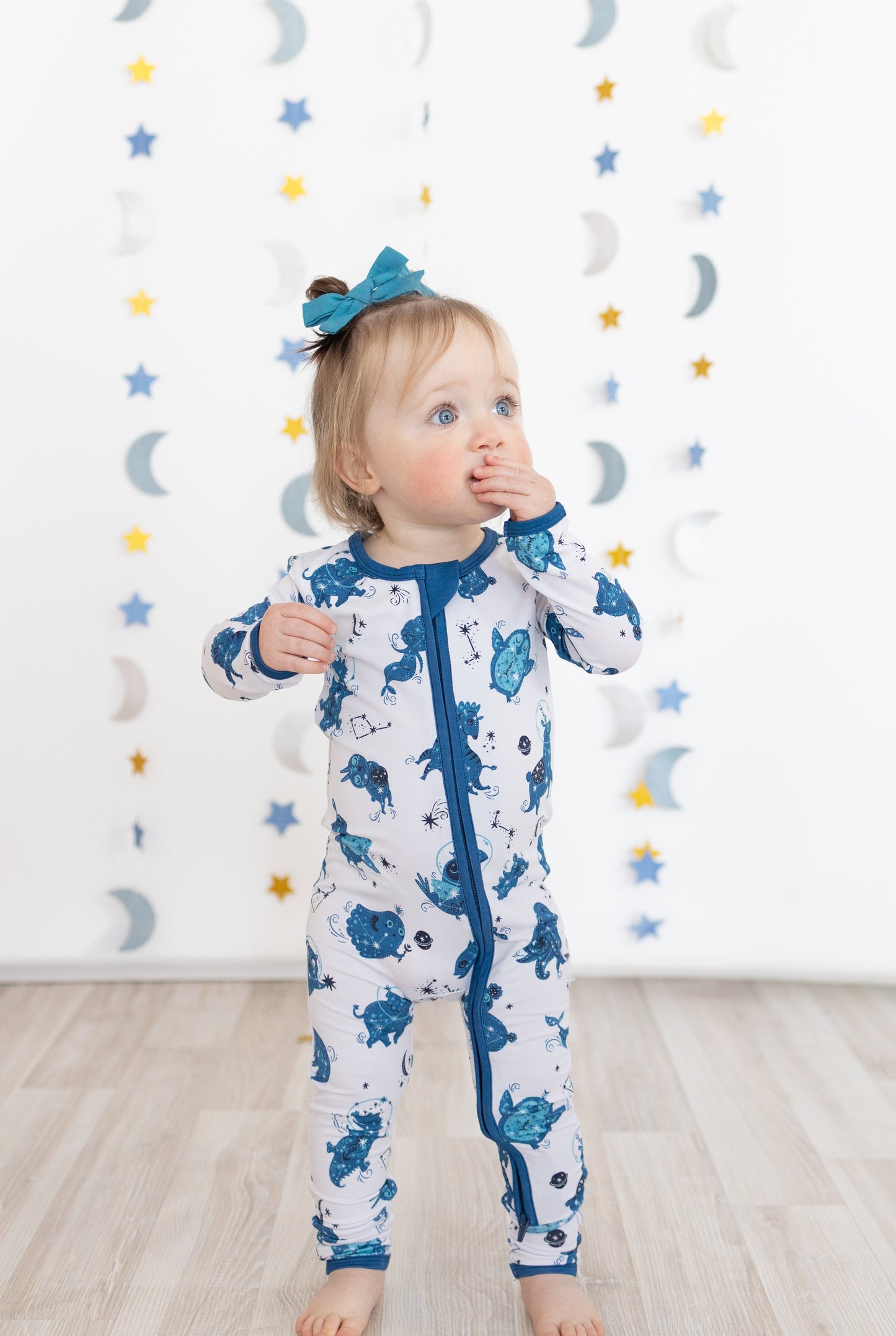 Celestial Critters Convertible Zippy