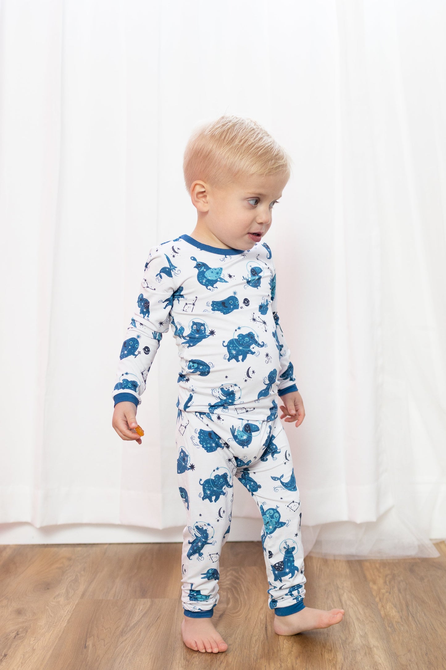 Celestial Critters 2pc Long Sleeve Pajamas
