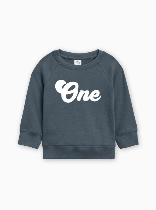 One Birthday 1st Birthday Toddler Organic Cotton Pullover (Groovy)