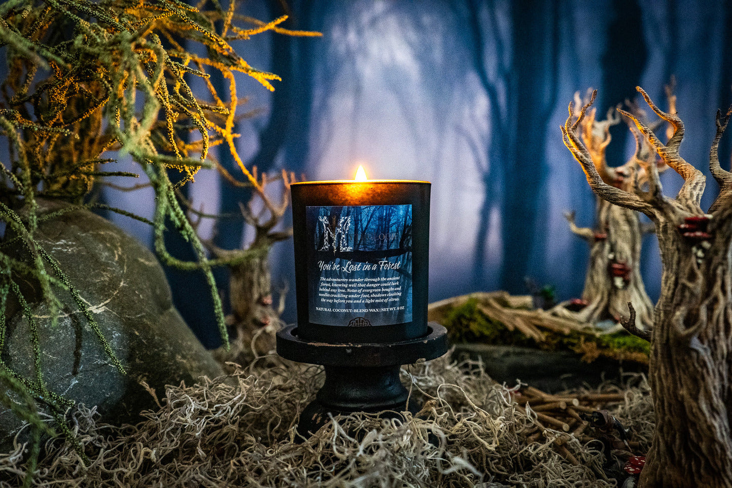 You're Lost in a Forest