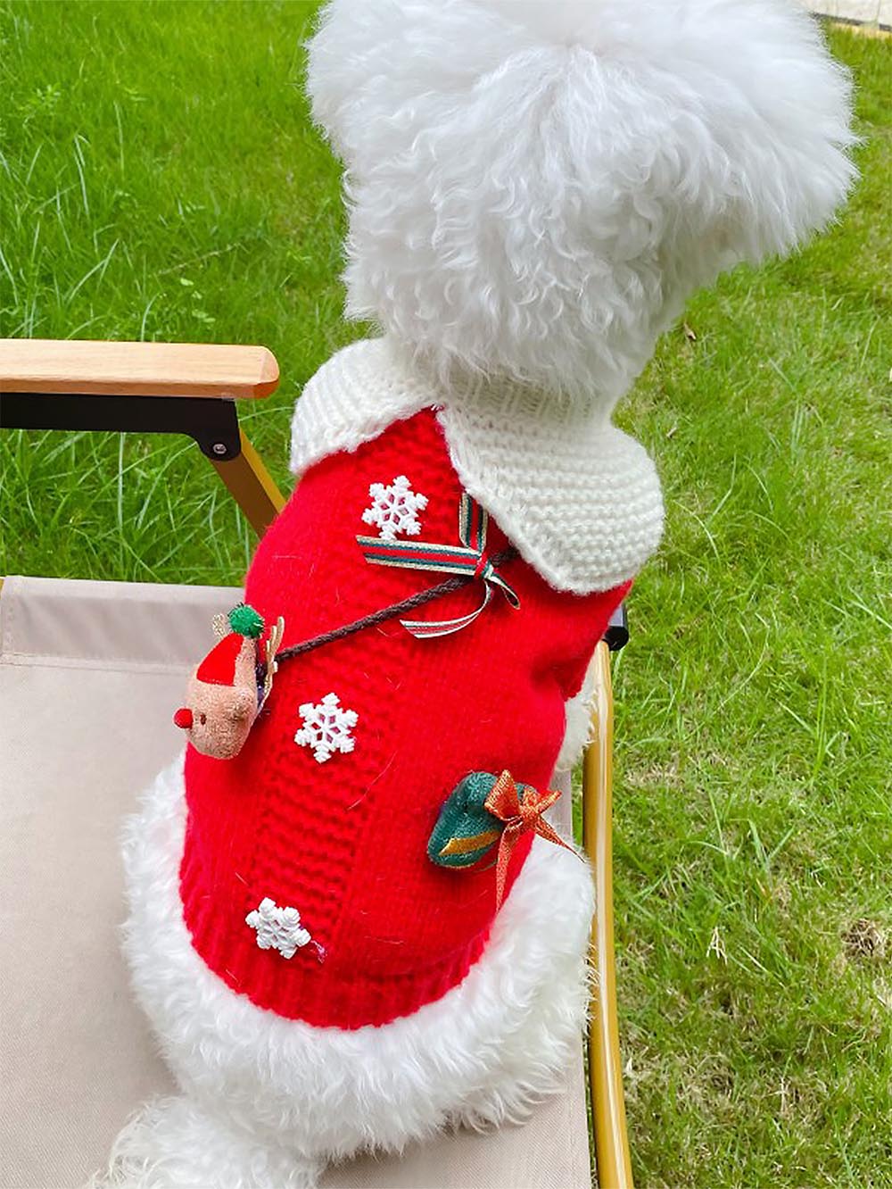 Pet Collared Christmas Sweater | NCS