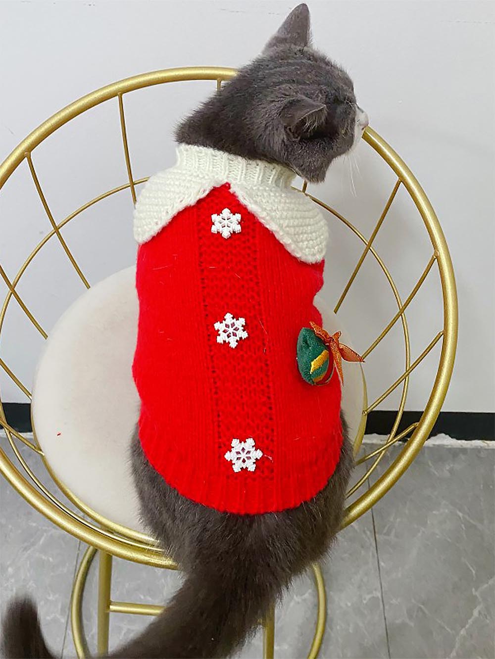 Pet Collared Christmas Sweater | NCS