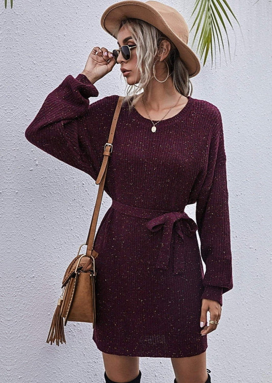 Textured Tie Waist Sweater Dress