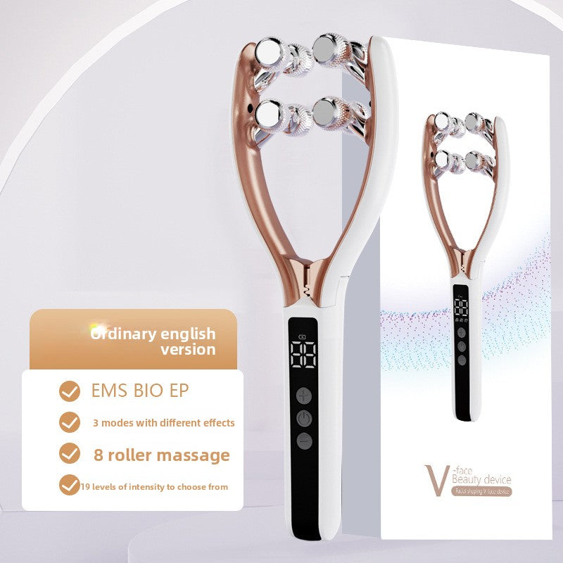 Facial Massage Instrument