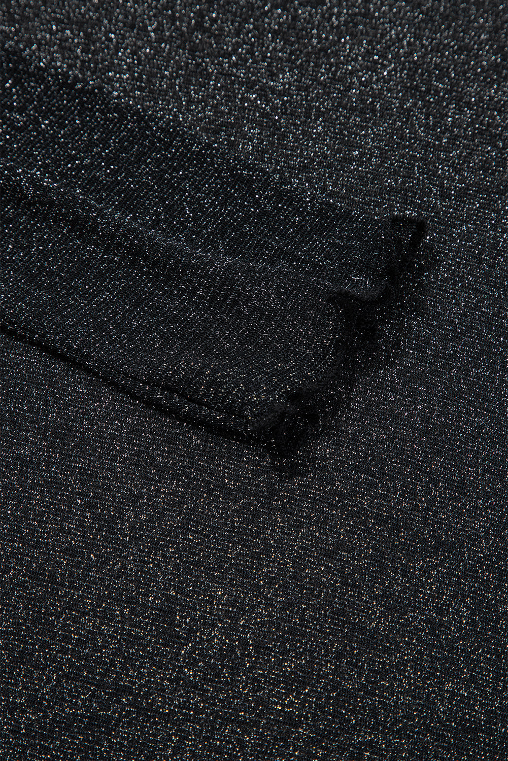 Metallic Glitter Mesh Long Sleeve Top