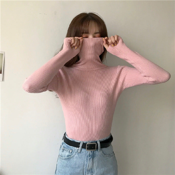 Knitted Sweater