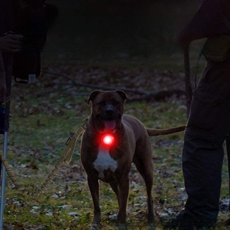 Snap-on charging pet night-time dog walking deterrent light