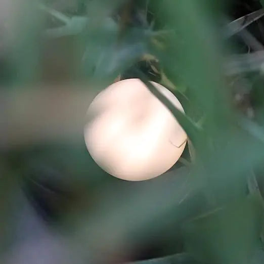 Baby Night Light - Adjustable Brightness